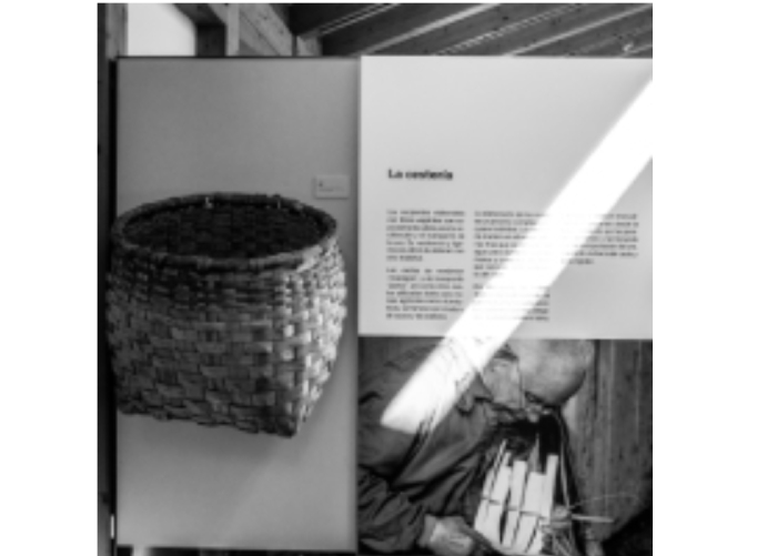 Visita Online al Museo del Vino Cangas del Narcea Visita Online al Museo del Vino Cangas del Narcea