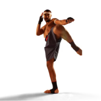 Muai Thai Muai Thai