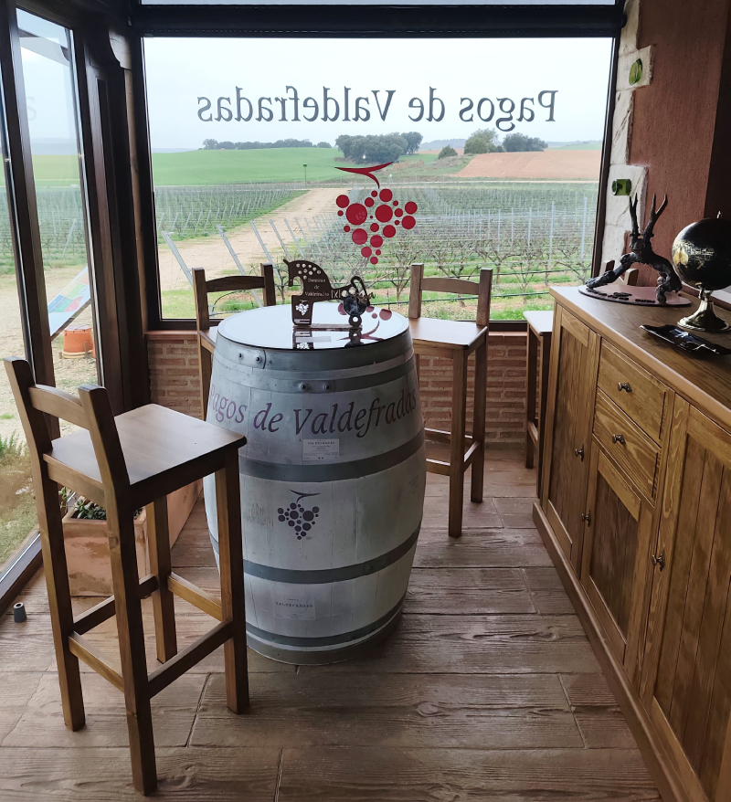 Visita a los Viñedos y Cata de Vino Visita a los Viñedos y Cata de Vino