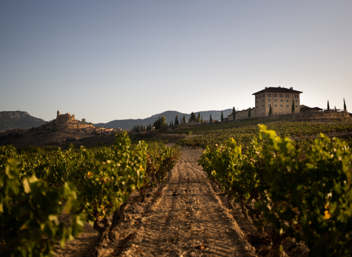 Visita a Bodega y Cata de Vino con Aperitivo Visita a Bodega y Cata de Vino con Aperitivo