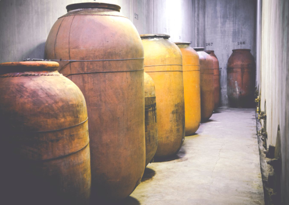 Visita una Bodega Centenaria Y Cata varios vinos c... Visita una Bodega Centenaria Y Cata varios vinos c...