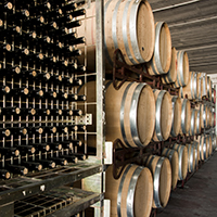 Visita a Bodega y Cata de Vino Visita a Bodega y Cata de Vino