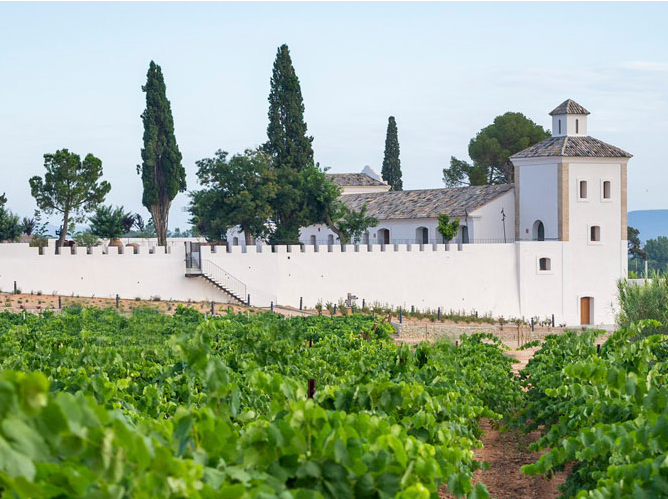 Visita Guiada y Cata de Vino Visita Guiada y Cata de Vino