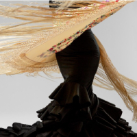 Una Clase de Sevillanas Una Clase de Sevillanas