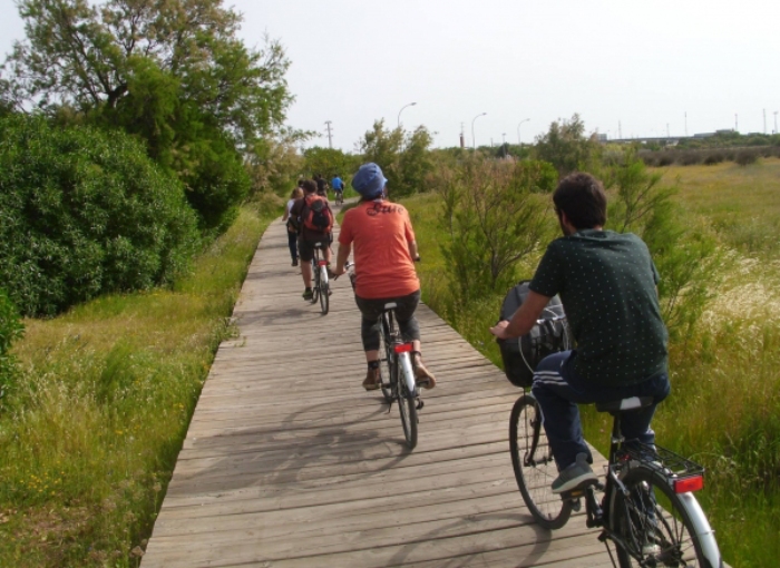 Dos horas de alquiler de Bicicleta Dos horas de alquiler de Bicicleta