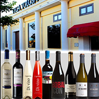Visita a Bodega y Cata de Vino Visita a Bodega y Cata de Vino