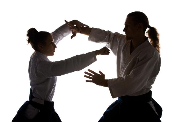 Dos días de Aikido Dos días de Aikido
